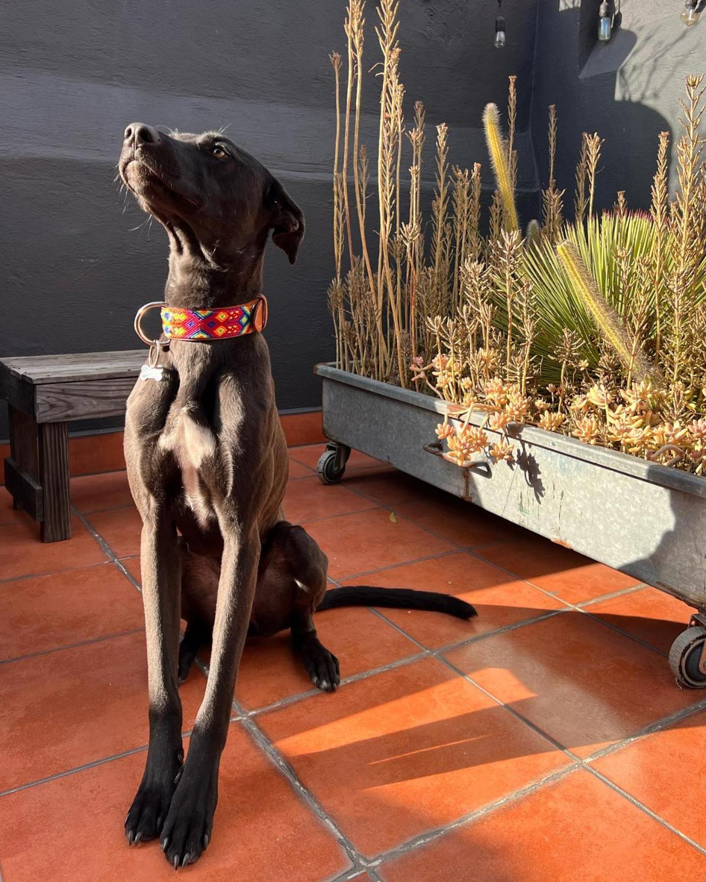 Hotel Boutique Casa Catala Tlaxcala Kültér fotó